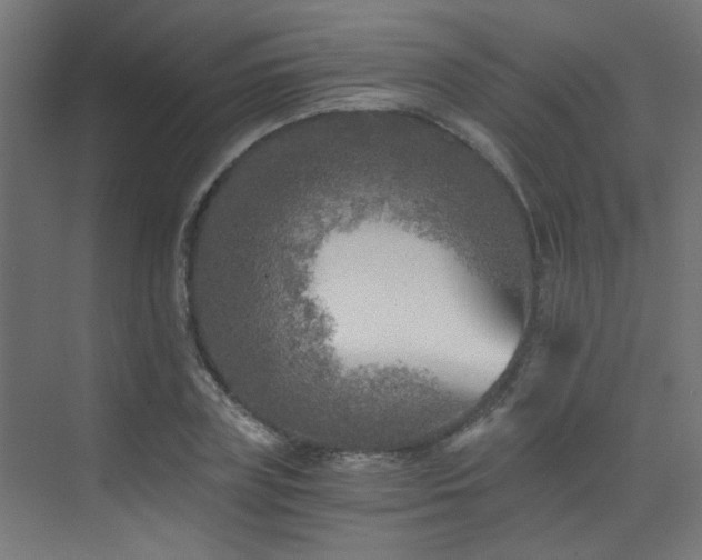 X0000072960835200607211155