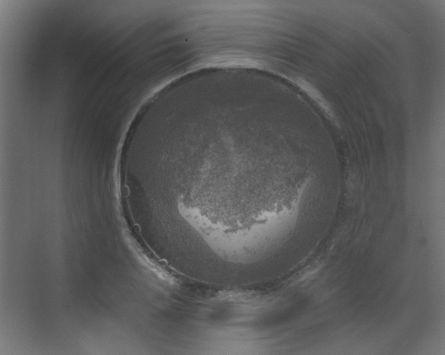 X0000072960840200607211155