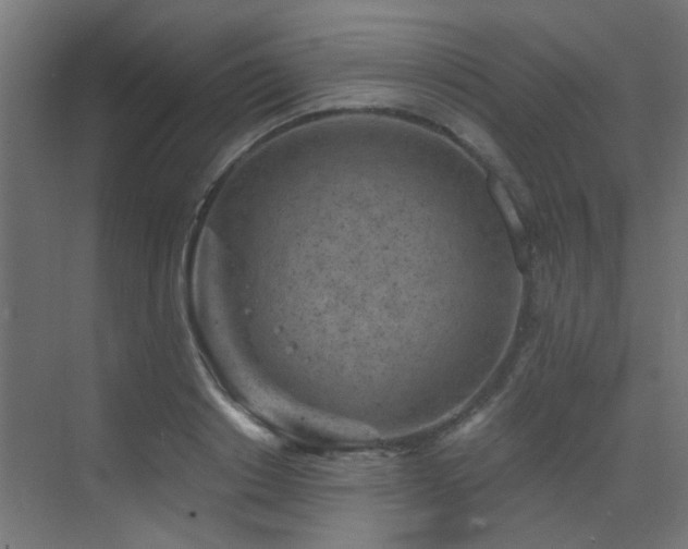 X0000072960842200607211155