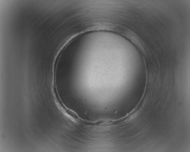 X0000072960844200607211155