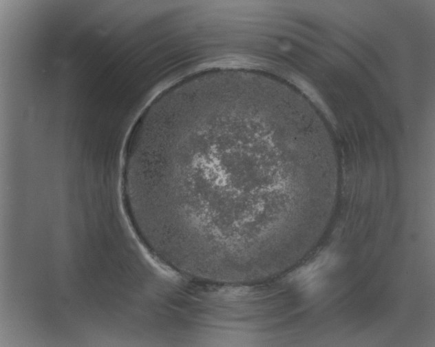 X0000072960845200607211155