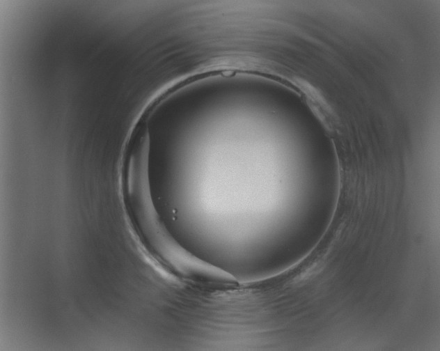 X0000072960846200607211155