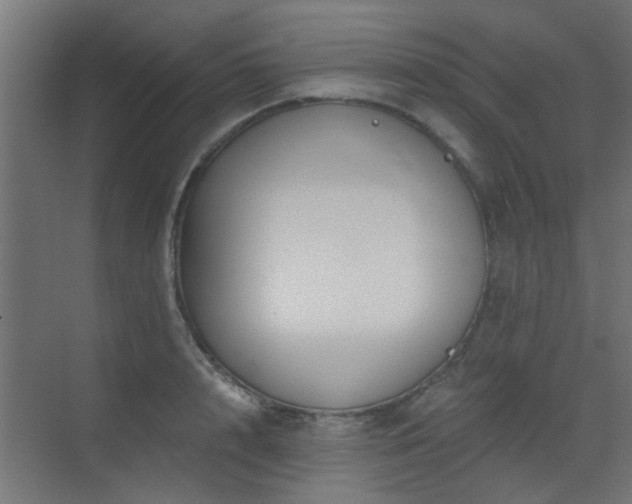 X0000072960848200607211155