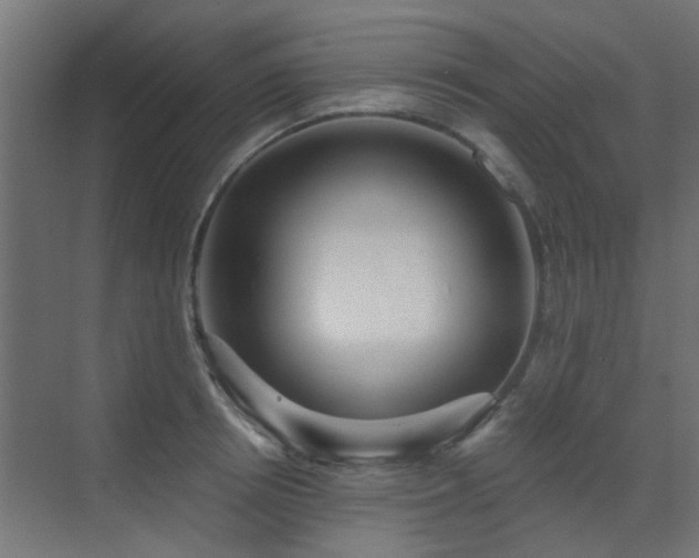 X0000072960850200607211155