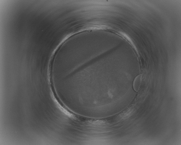 X0000072960851200607211155