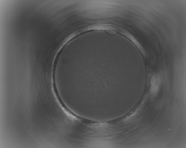 X0000072960853200607211155