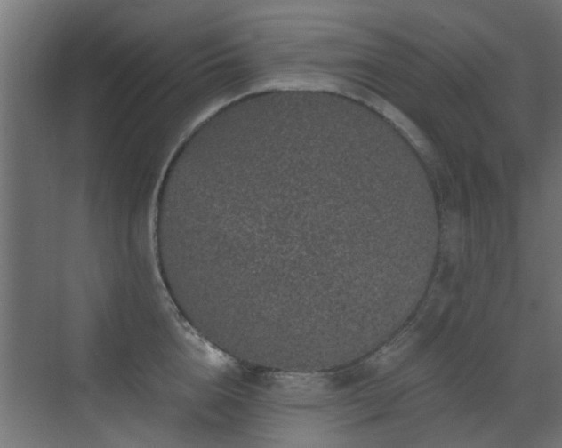 X0000072960856200607211155