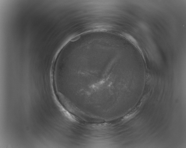 X0000072960859200607211155