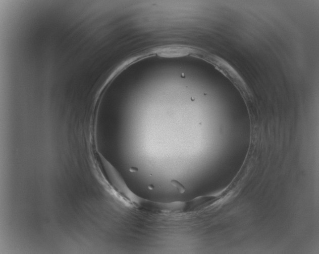 X0000072960860200607211155