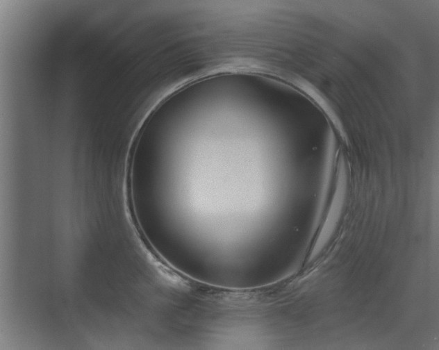 X0000072960861200607211155