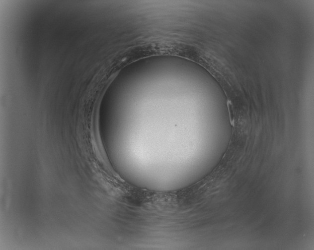 X0000072960865200607211155