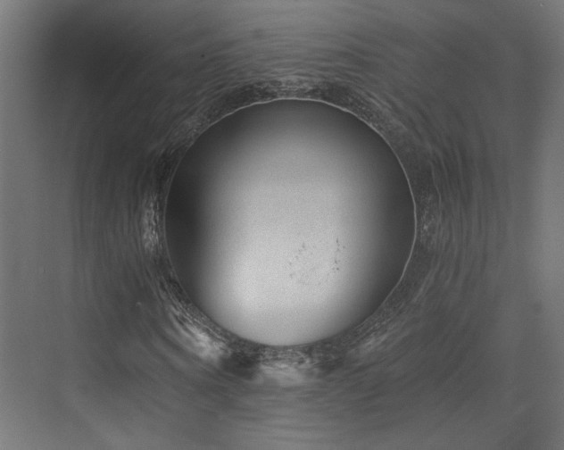 X0000072960866200607211155