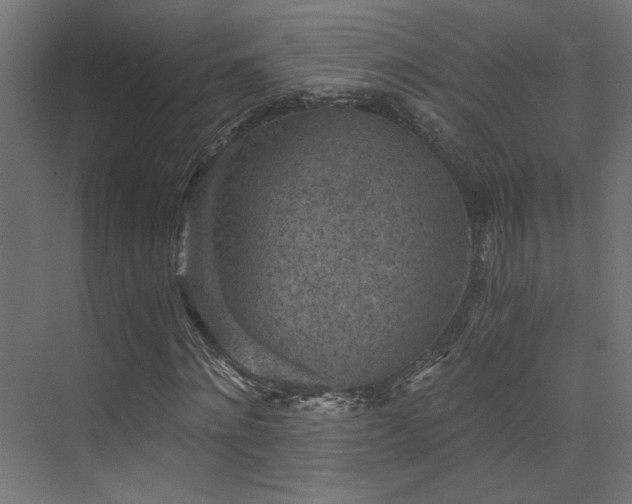 X0000072960868200607211155