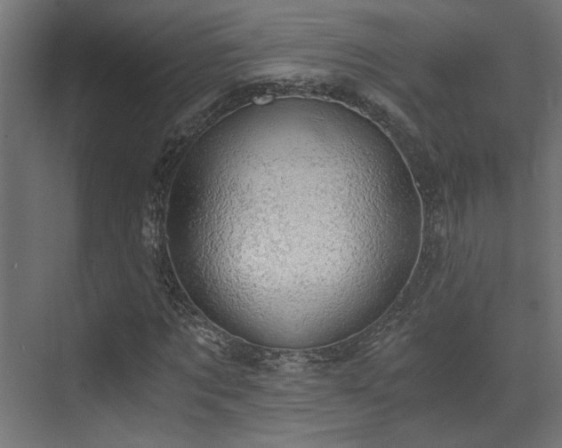 X0000072960869200607211155