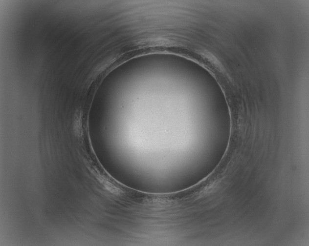 X0000072960873200607211154