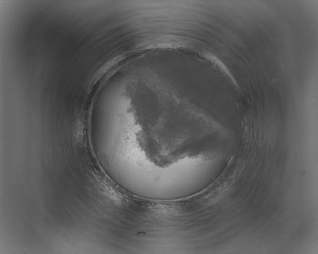 X0000072960874200607211154