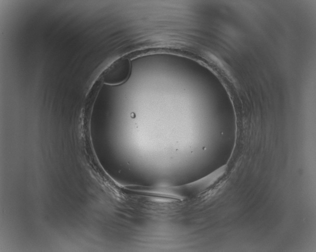 X0000072960875200607211154