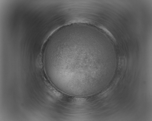 X0000072960878200607211154