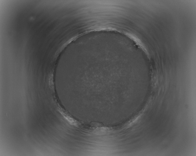 X0000072960881200607211154