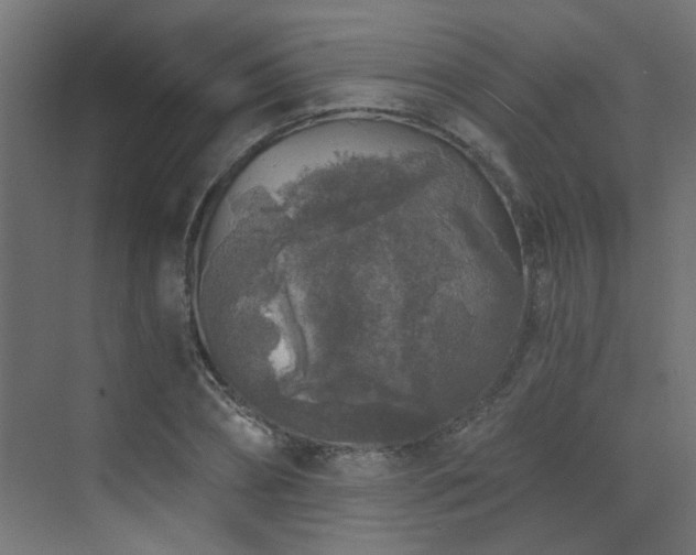 X0000072960882200607211154