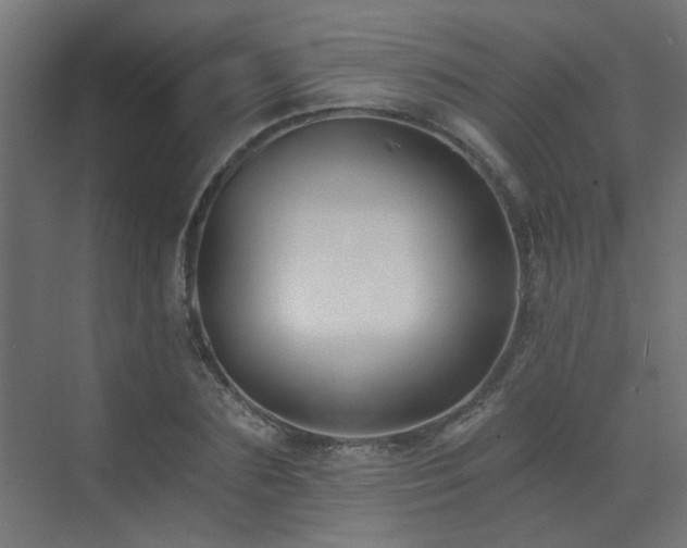 X0000072960883200607211154