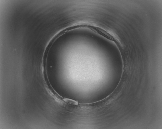 X0000072960888200607211154