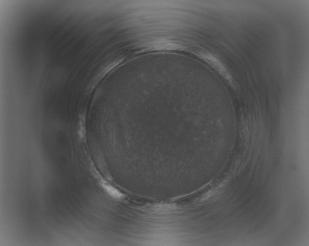 X0000072960889200607211154