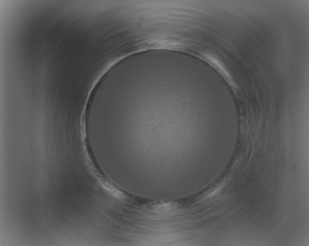 X0000072960891200607211154