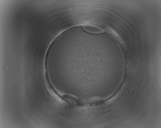 X0000072960892200607211154