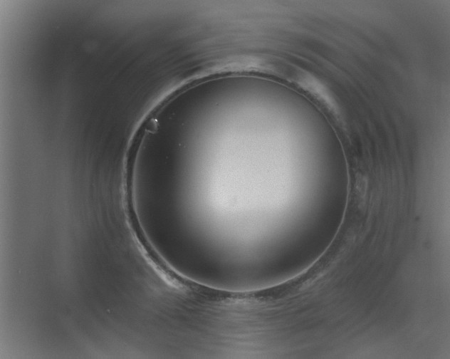 X0000072960894200607211154