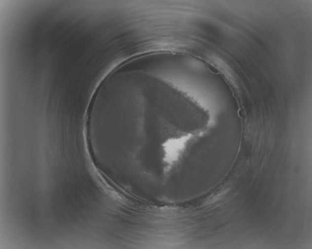 X0000072960899200607211154