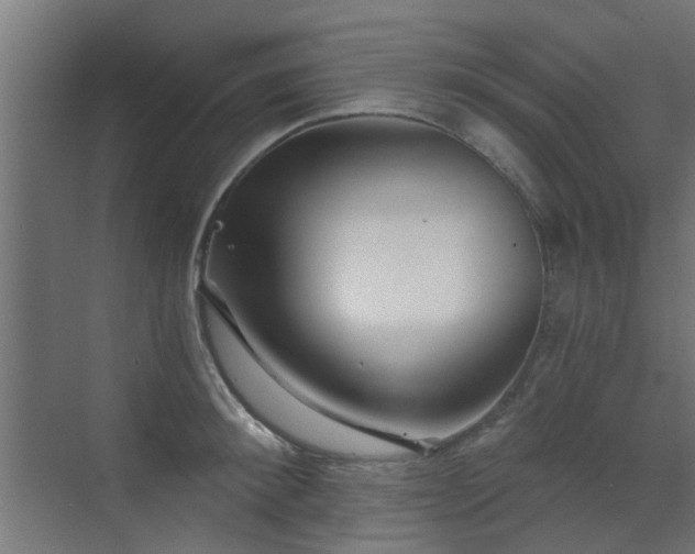 X0000072960900200607211154