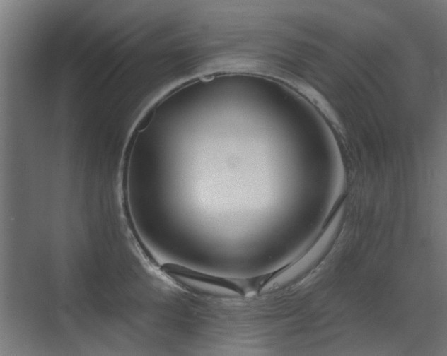 X0000072960904200607211154