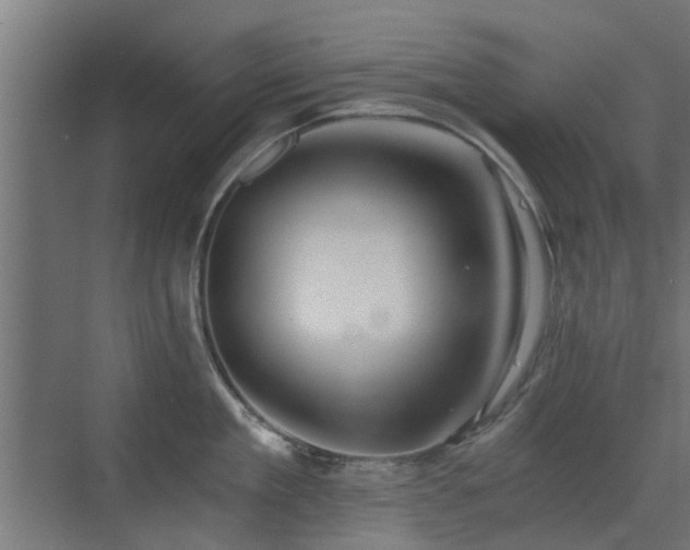 X0000072960909200607211154