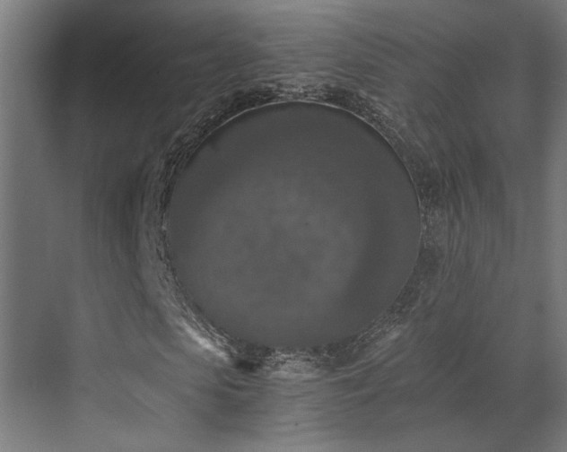 X0000072960913200607211153