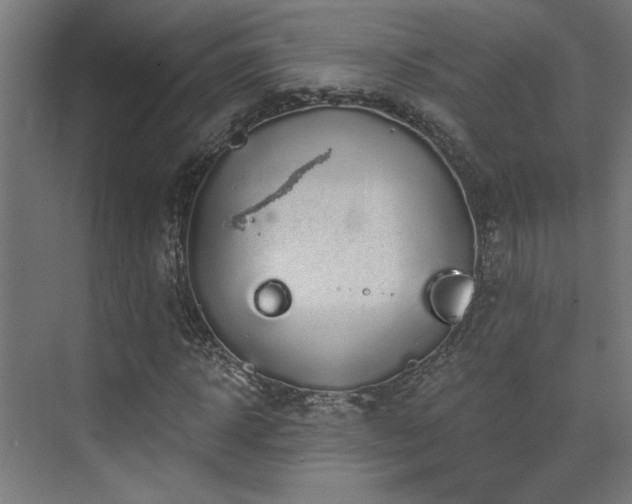 X0000072960918200607211153