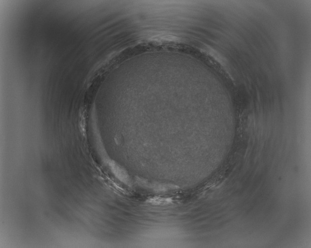 X0000072960919200607211153