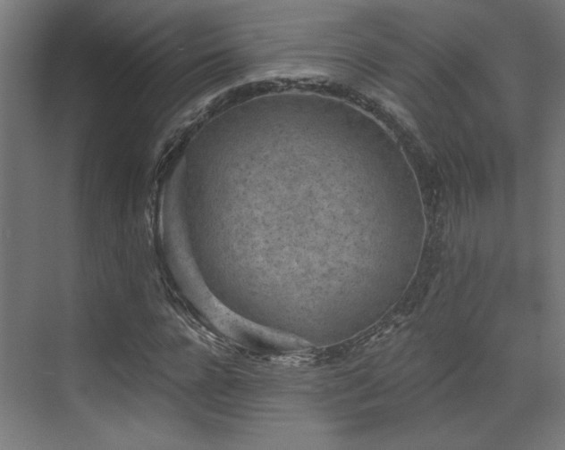 X0000072960920200607211153