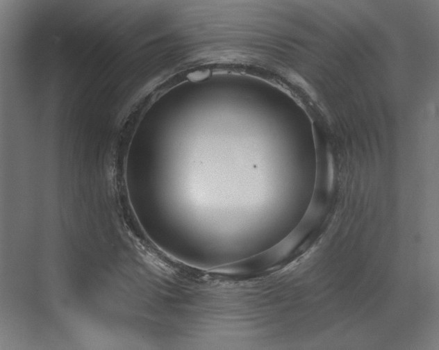 X0000072960922200607211153