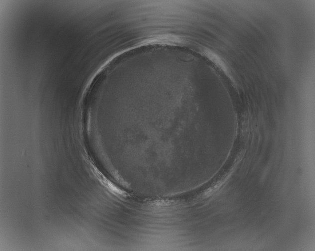 X0000072960923200607211153