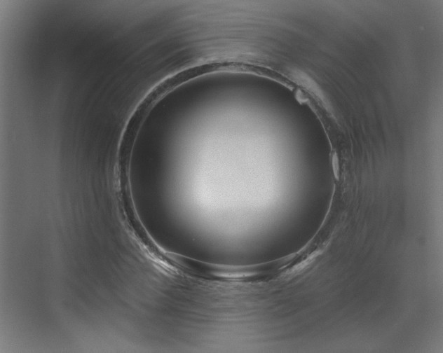 X0000072960924200607211153