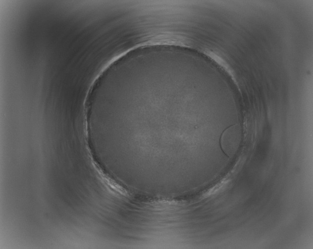 X0000072960925200607211153