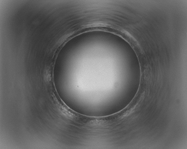 X0000072960929200607211153