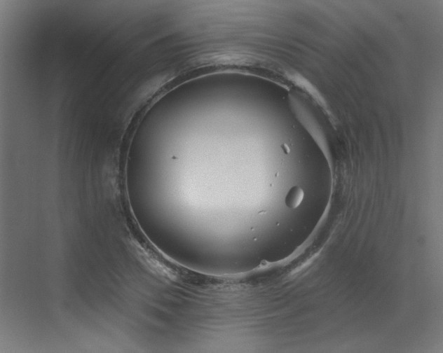 X0000072960930200607211153