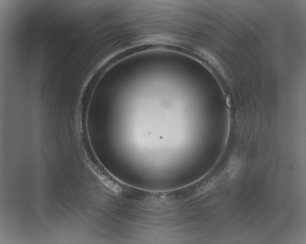 X0000072960931200607211153