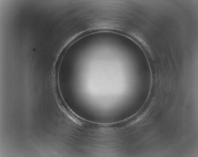 X0000072960933200607211153