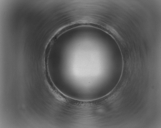 X0000072960934200607211153