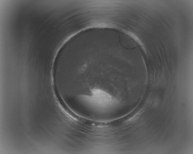 X0000072960935200607211153