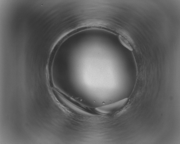 X0000072960936200607211153