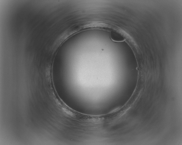 X0000072960937200607211153